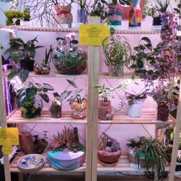 Творческая выставка кашпо с растениями «Апсайклинг и фитодизайн»