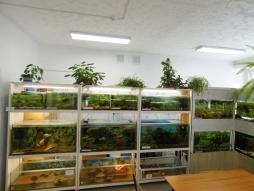Центр аквариумистики