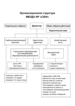 Организационная структура МБУДО НР "СЮН"